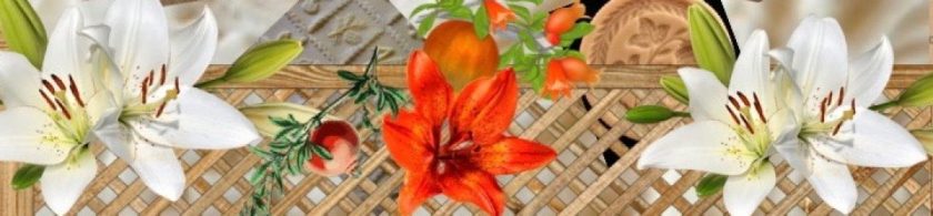 Scratch made cookies in Gatlinburg, Cosby, and TN